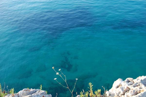 Villa Marco Polo Fanusa Zewnętrze zdjęcie